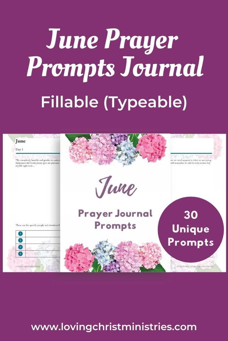 June Prayer Journal Prompts (Fillable)