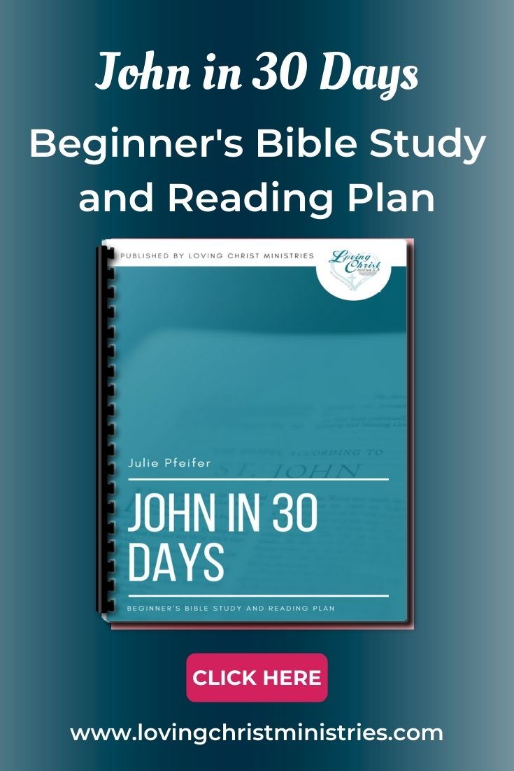 John in 30 Days: Beginner&